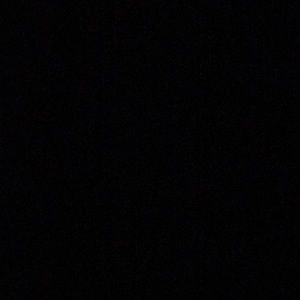 Meet your Posher, Audrey